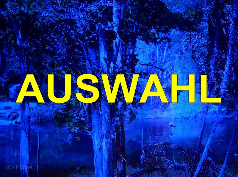 A Auswahl.jpg